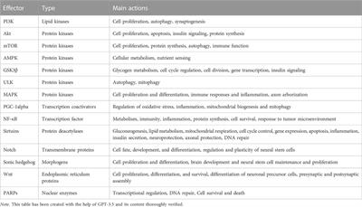 Neurotrophic effects of intermittent fasting, calorie restriction and exercise: a review and annotated bibliography